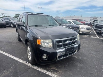 2011 Ford Escape Limited