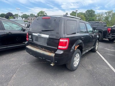 2011 Ford Escape Limited