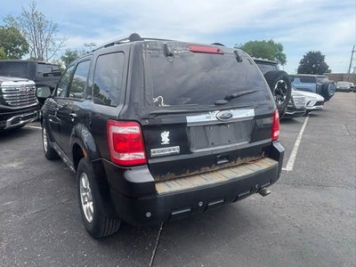 2011 Ford Escape Limited